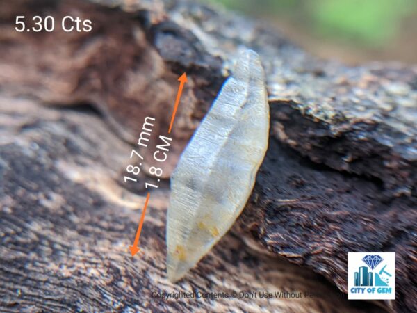 eylon Natural Double Terminated Sapphire Complete Crystals - city of gem Ratnapura