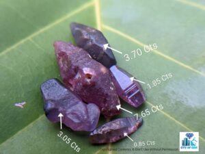 Ceylon Natural Sapphire Crystal Lot - city of gem Ratnapura