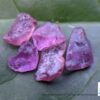 Natural Pink Sapphire Rough Gemstones Lot - city of gem Ratnapura