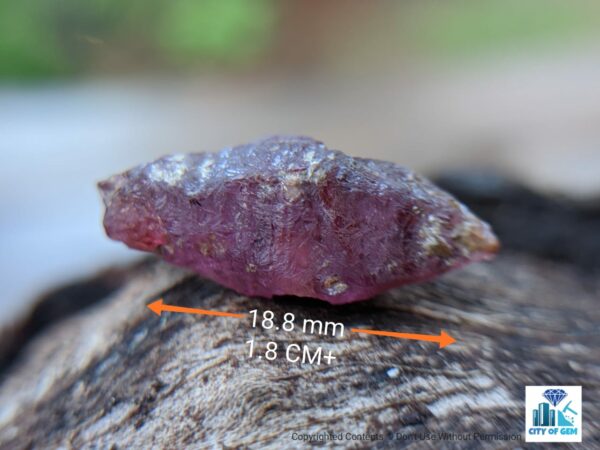 Ceylon Natural Sapphire Crystal Lot - city of gem Ratnapura