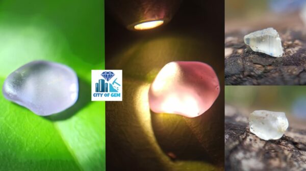 Ceylon Natural Sapphire Rough Lot with Colour shifting Violet Sapphire - city of gem Ratnapura