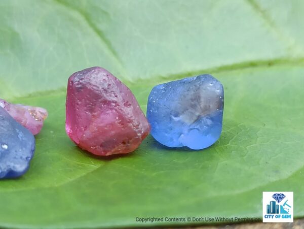 Ceylon Natural Pink Sapphire and Blue Sapphire Rough Gemstone Lot - city of gem Ratnapura