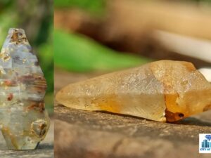 22_Ceylon Natural Glass Body Sapphire Crystal Couple ( with interesting natural body carving ) - city of gem Ratnapura