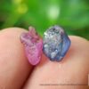 Ceylon Natural Pink Sapphire and Blue Sapphire Rough Gemstone Lot - city of gem Ratnapura