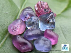 Ceylon Natural Sapphire Rough Gemstone Lot - city of gem Ratnapura