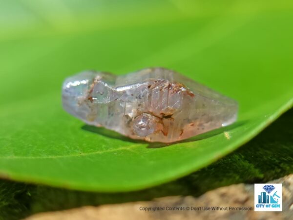 Ceylon Natural Sapphire Terminated Glass Body Crystal Lot - city of gem Ratnapura