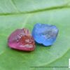 Ceylon Natural Pink Sapphire and Blue Sapphire Rough Gemstone Lot - city of gem Ratnapura