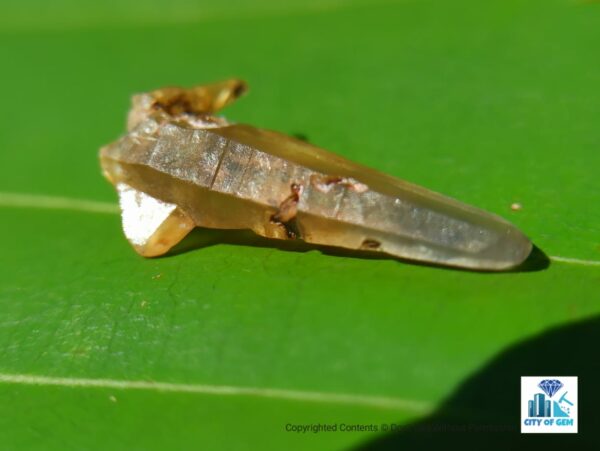 Ceylon Natural Sapphire Terminated Glass Body Crystal Lot - city of gem Ratnapura