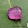 Ceylon Natural Sapphire Rough Gemstone Lot - city of gem Ratnapura