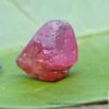 Ceylon Natural Pink Sapphire and Blue Sapphire Rough Gemstone Lot - city of gem Ratnapura