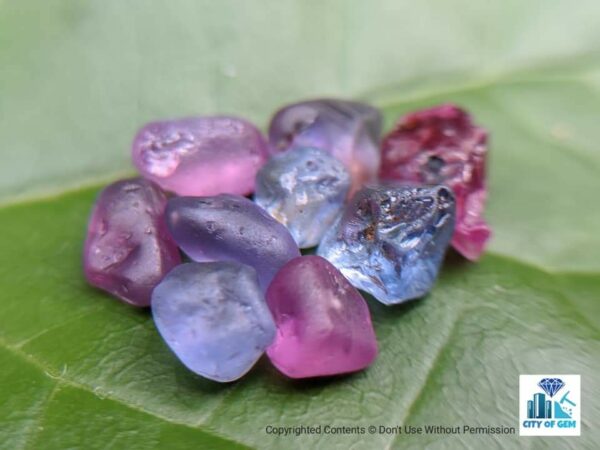 Ceylon Natural Sapphire Rough Gemstone Lot - city of gem Ratnapura