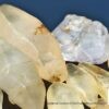 Ceylon Natural Sapphire Términated Crystal Lot ( Rough Glass Body ) - city of gem Ratnapura