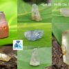 Ceylon Natural Sapphire Crystal Mix Lots - city of Gem Ratnapura