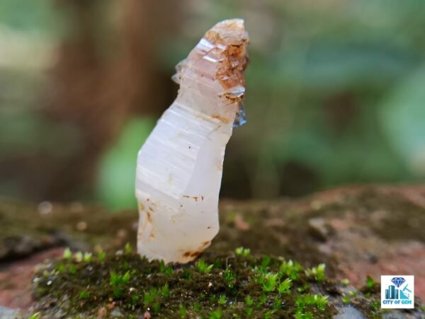 Ceylon Natural Double Terminated Unique Sapphire Milky Geuda Glass body Twin Crystal - city of Gem Ratnapura