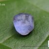 Ceylon Natural Sapphire Rough Gemstone Lot - city of gem Ratnapura