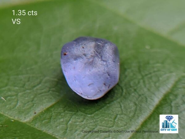 Ceylon Natural Sapphire Rough Gemstone Lot - city of gem Ratnapura
