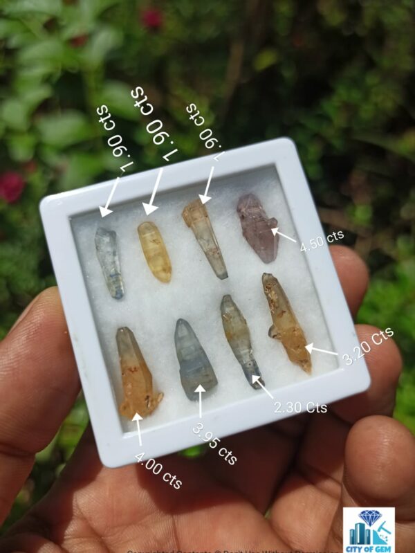 Ceylon Natural Sapphire Terminated Glass Body Crystal Lot - city of gem Ratnapura