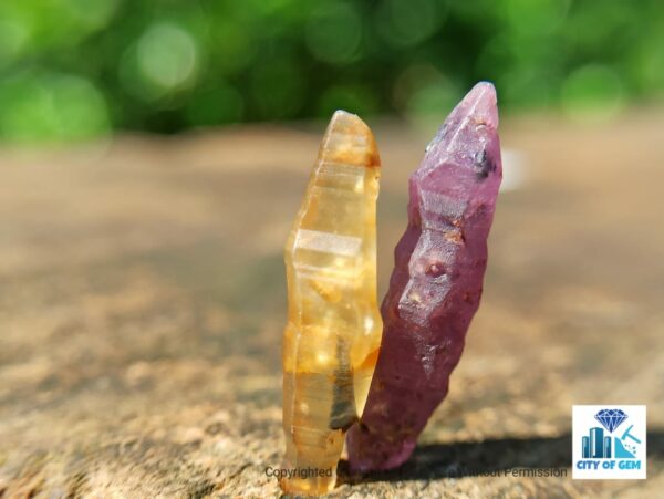 Ceylon Natural Double Terminated Complete Yellow & Pink Sapphire Crystal Couple - city of gem Ratnapura