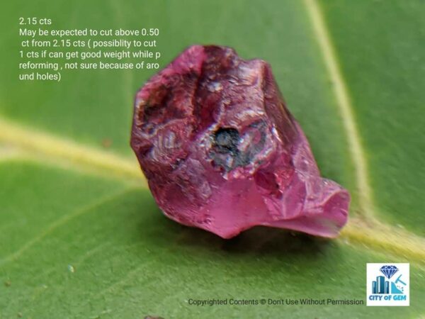 Ceylon Natural Sapphire Rough Gemstone Lot - city of gem Ratnapura