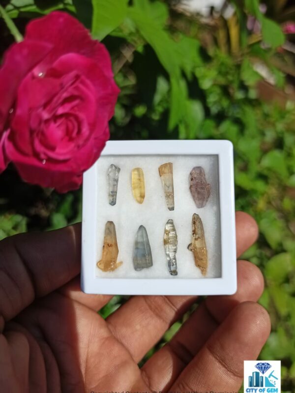 Ceylon Natural Sapphire Terminated Glass Body Crystal Lot - city of gem Ratnapura