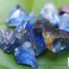 Ceylon Natural Small Sapphire Rough Lot - Pannila Blue - city of gem Ratnapura