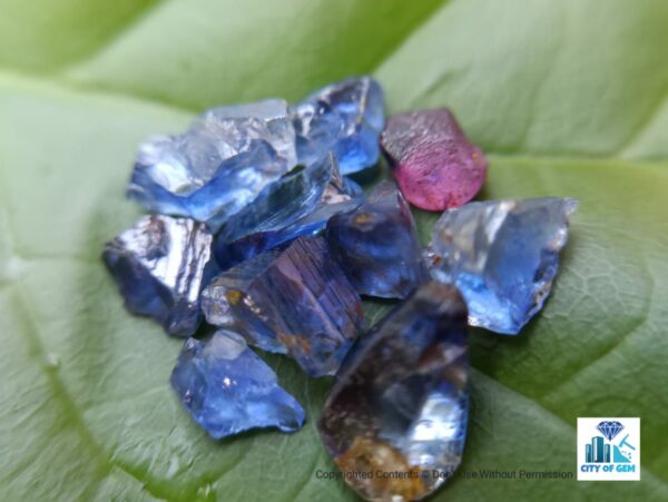 Ceylon Natural Small Sapphire Rough Lot - Pannila Blue - city of gem Ratnapura