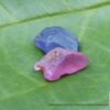 Ceylon Natural Pink Sapphire and Blue Sapphire Rough Gemstone Lot - city of gem Ratnapura