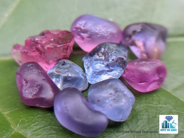 Ceylon Natural Sapphire Rough Gemstone Lot - city of gem Ratnapura