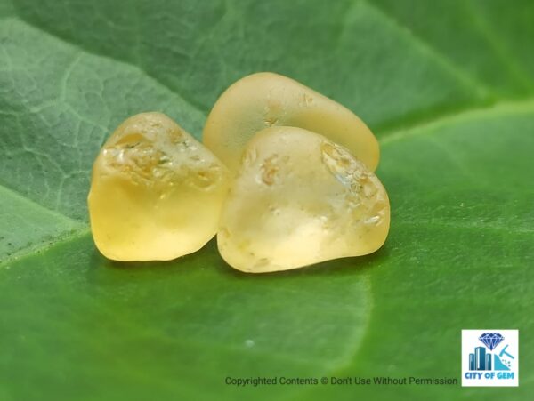 CEYLON NATURAL YELLOW SAPPHIRE ROUGH GEMSTONES - city of gem Ratnapura
