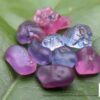 Ceylon Natural Sapphire Rough Gemstone Lot - city of gem Ratnapura