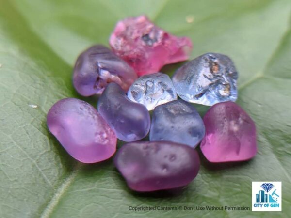 Ceylon Natural Sapphire Rough Gemstone Lot - city of gem Ratnapura
