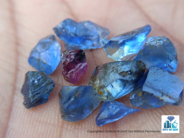 Ceylon Natural Small Sapphire Rough Lot - Pannila Blue - city of gem Ratnapura