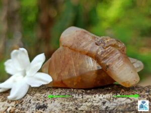 Ceylon Natural Terminated Yellow Sapphire Huge Twin Crystal - city of gem Ratnapura