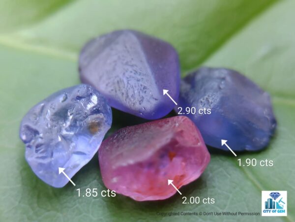 CEYLON NATURAL SAPPHIRE ROUGH GEMSTONES LOT - city of gem Ratnapura