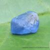 Ceylon Natural Pink Sapphire and Blue Sapphire Rough Gemstone Lot - city of gem Ratnapura