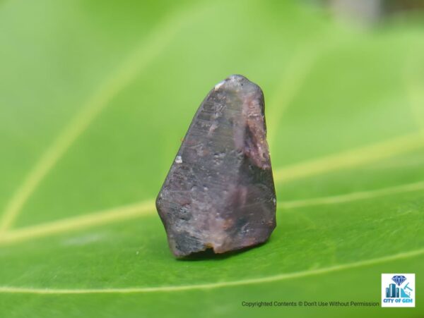 Ceylon Natural Sapphire Crystal Mix Lots - city of Gem Ratnapura