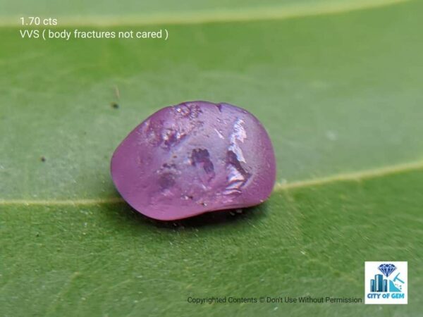 Ceylon Natural Sapphire Rough Gemstone Lot - city of gem Ratnapura