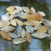Ceylon Natural Sapphire Términated Crystal Lot ( Rough Glass Body ) - city of gem Ratnapura