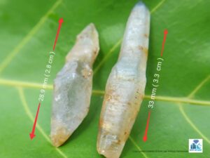 Ceylon Natural Terminated Sapphire Crystals - city of Gem Ratnapura