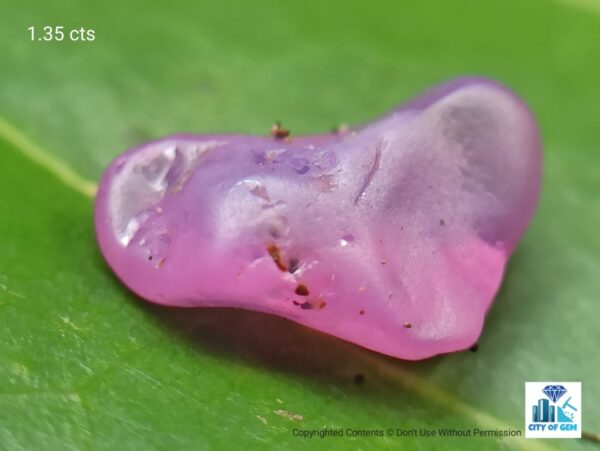 Ceylon Natural Sapphire Rough Gemstones Lot - city of Gem Ratnapura
