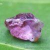 Ceylon Natural Sapphire Rough Gemstones Lot - city of Gem Ratnapura