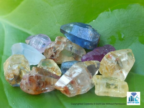Ceylon Natural Sapphire Glass Body Crystals Lot - city of gem Ratnapura