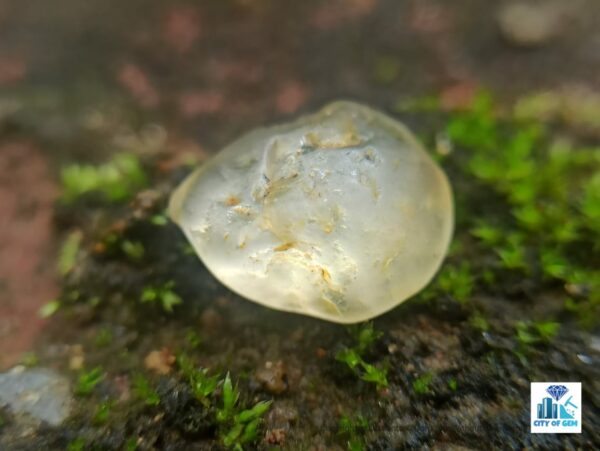 Ceylon Natural Sapphire Rough Gemstones Lot -city of Gem Ratnapura