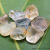 Ceylon Natural Sapphire Rough Gemstones Lot - city of gem Ratnapura