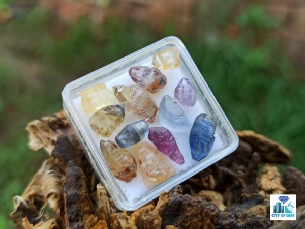 Ceylon Natural Sapphire Glass Body Crystals Lot - city of gem Ratnapura