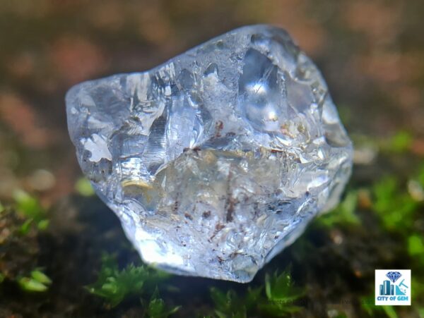 Ceylon Natural Sapphire Rough Gemstones Lot -city of Gem Ratnapura