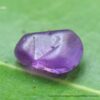 Ceylon Natural Sapphire Rough Gemstones Lot - city of Gem Ratnapura