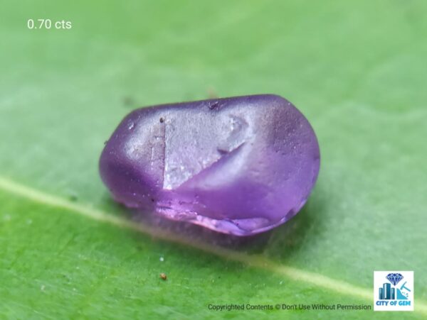 Ceylon Natural Sapphire Rough Gemstones Lot - city of Gem Ratnapura