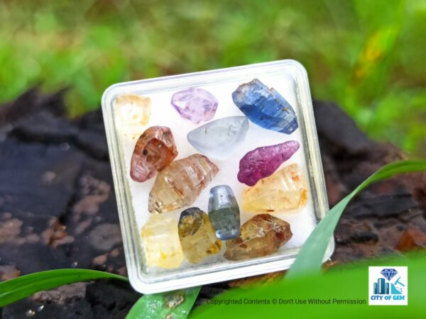 Ceylon Natural Sapphire Glass Body Crystals Lot - city of gem Ratnapura