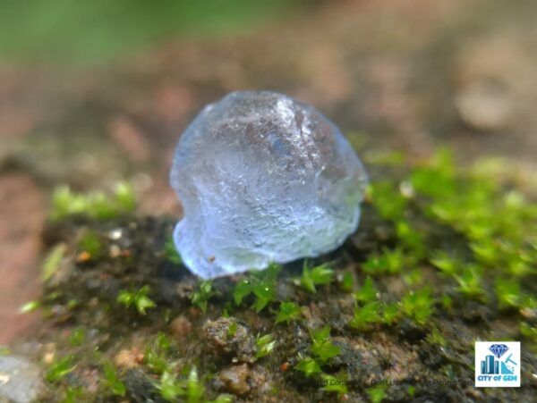 Ceylon Natural Sapphire Rough Gemstones Lot -city of Gem Ratnapura